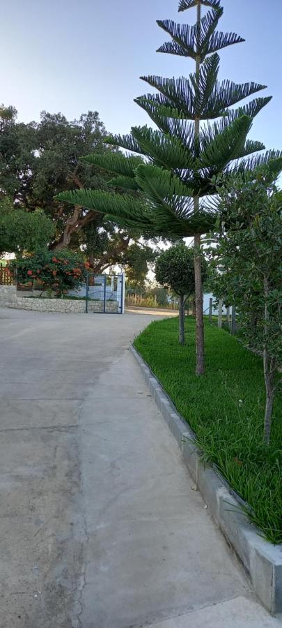 Monte Da Vinha Nova Villa Santiago do Cacem Ngoại thất bức ảnh