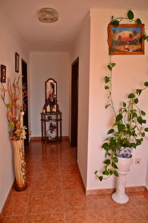 Monte Da Vinha Nova Villa Santiago do Cacem Ngoại thất bức ảnh
